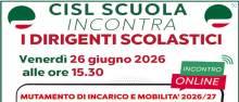 Incontro DS