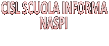 Naspi2017 Naspi 2017