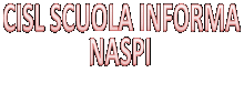 Naspi 2017