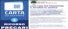 Ricorso Carta docente 