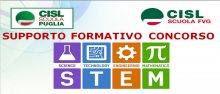 Supporto Formativo STEM