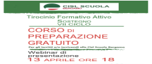 TFA - Webinar Formativo- TFA - Webinar Formativo-